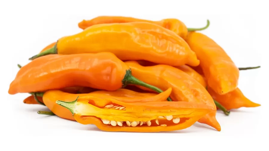 2025’s Flavor Trend: Why Ají Amarillo is Set to Steal the Spotlight 61 Ají Amarillo