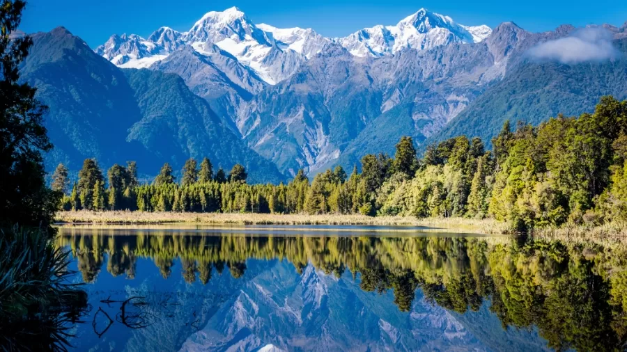 New Zealand Opens Doors to Remote Workers with Relaxed Visa Regulations 61 New Zealand