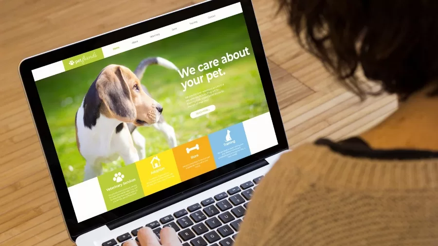 Turning Your Passion for Pets into a Profitable Business 61 Pet Business